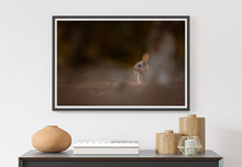 Load image into Gallery viewer, Rabbis