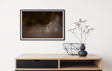 Load image into Gallery viewer, Rabbis