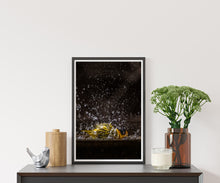 Load image into Gallery viewer, Simple Birdbath