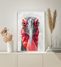 Load image into Gallery viewer, The Hornbill