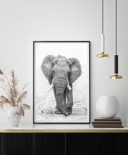 Load image into Gallery viewer, The Elephant In the Room