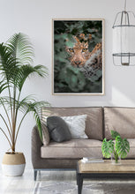 Load image into Gallery viewer, Eyes In the Bushes