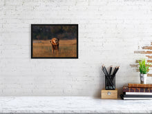 Load image into Gallery viewer, 9583492-3889801
