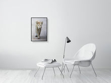 Load image into Gallery viewer, 9215749-3599654
