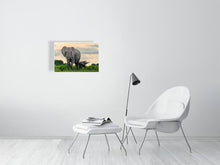 Load image into Gallery viewer, 9583485-3889781
