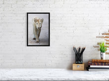 Load image into Gallery viewer, 9215749-3599653
