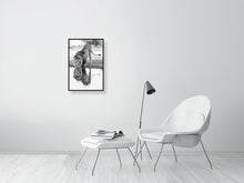 Load image into Gallery viewer, 9454113-3789980
