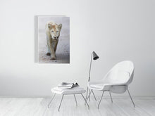 Load image into Gallery viewer, 9215749-3599652
