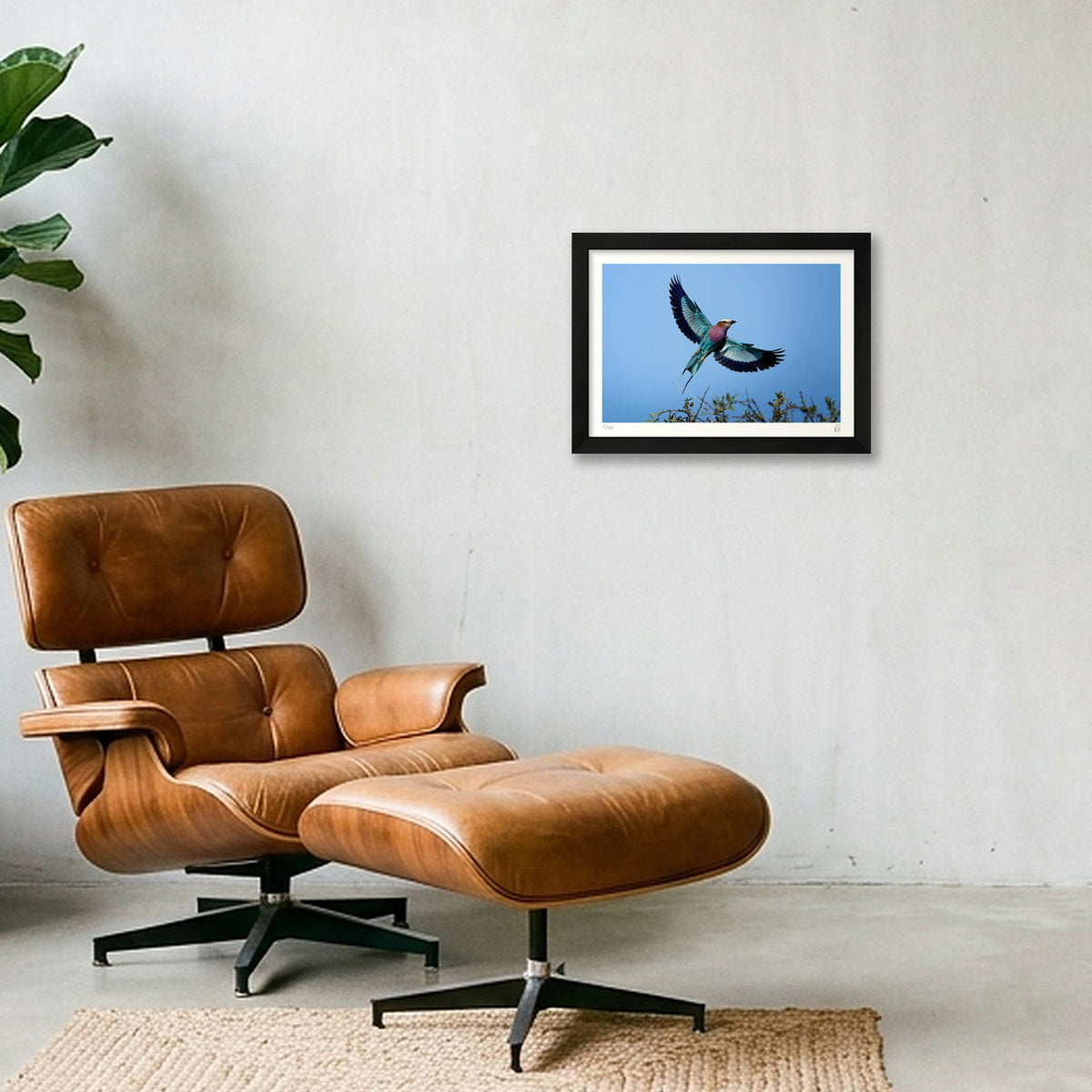 Flight Mode — A4 (30×21cm, 12×8") Black Frame
