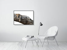 Load image into Gallery viewer, 9454108-3789951
