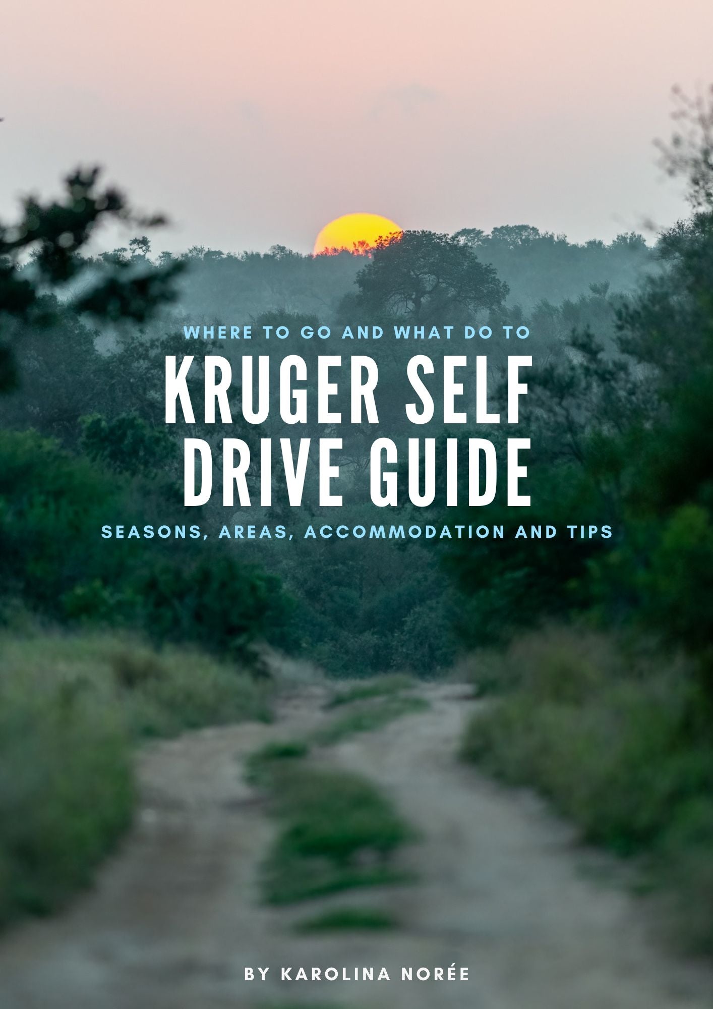 Kruger National Park - Self Drive Guide