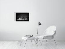 Load image into Gallery viewer, 9454112-3789971
