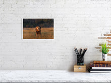 Load image into Gallery viewer, 9583492-3889798
