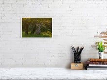 Load image into Gallery viewer, 9583484-3889774
