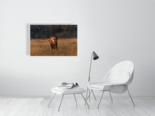 Load image into Gallery viewer, 9583492-3889800
