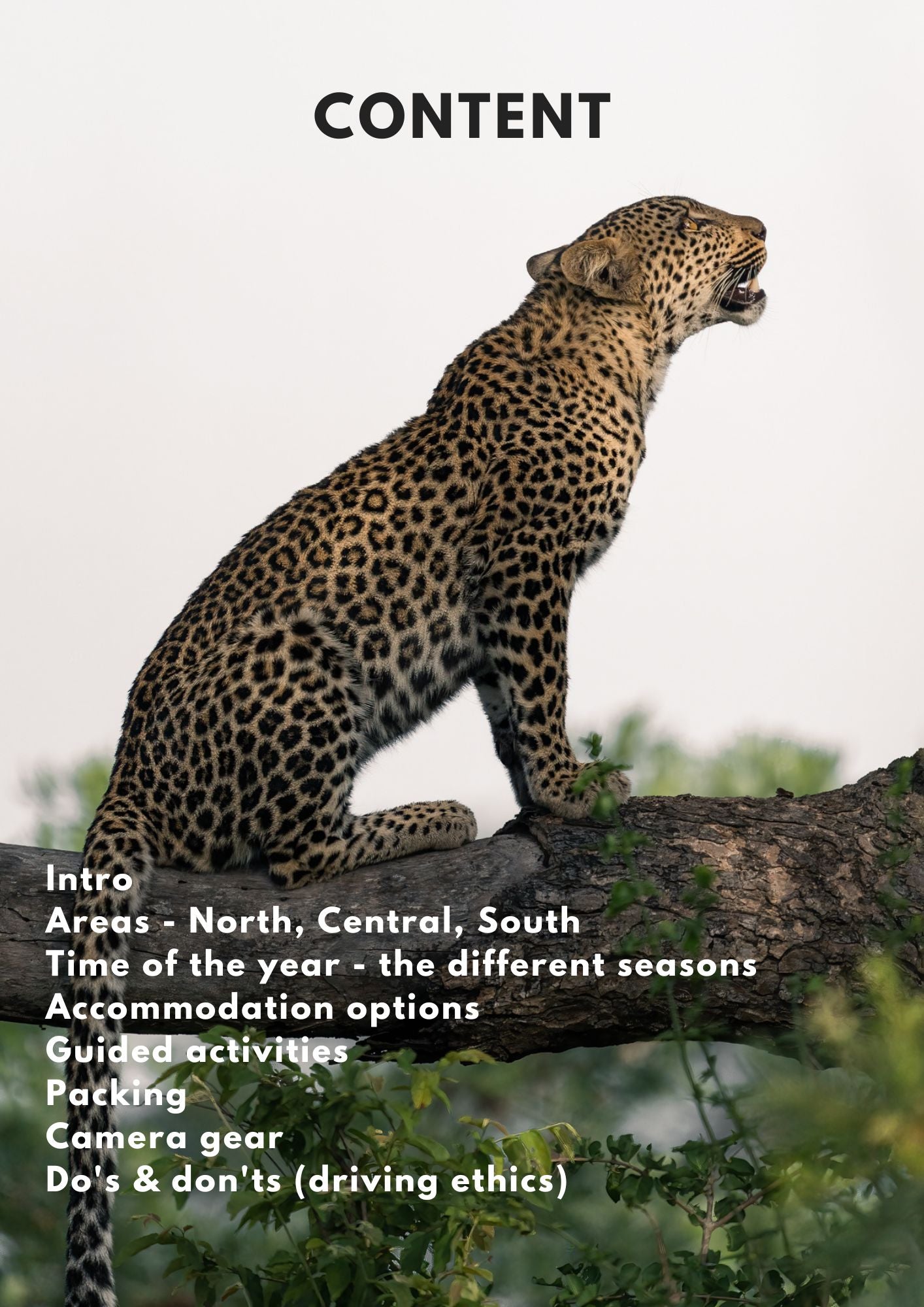 safari self drive guide contents