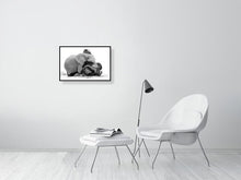Load image into Gallery viewer, 9454114-3789986
