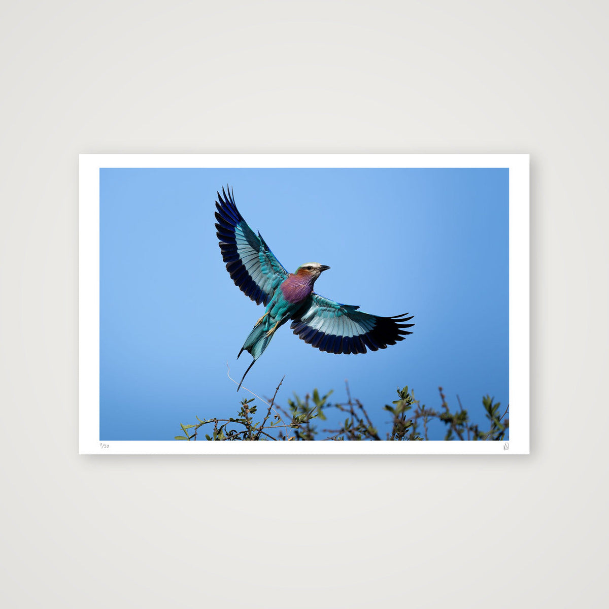 Flight Mode — 90×60cm, 35×24" Print only