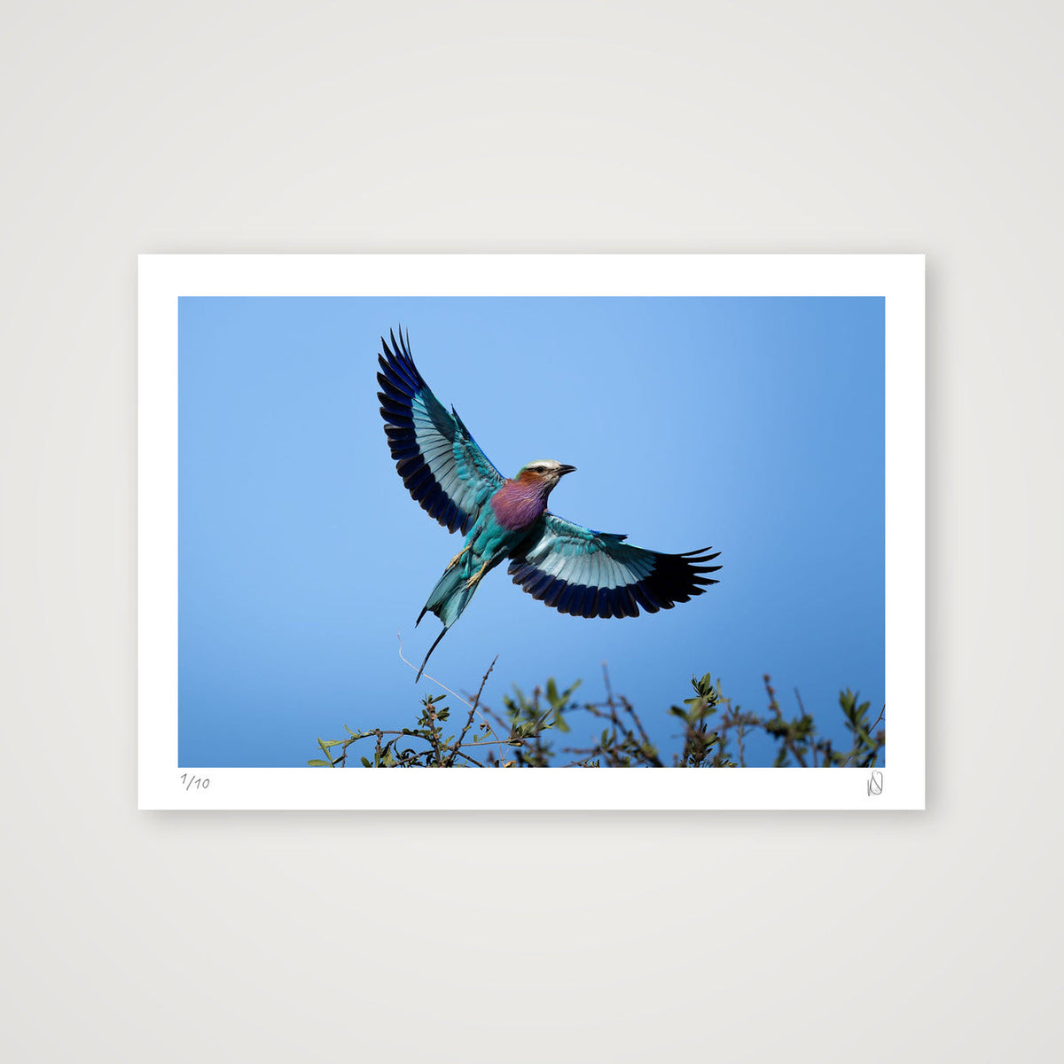 Flight Mode — A4 (30×21cm, 12×8") Print only