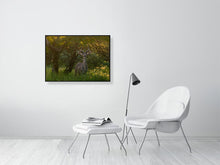 Load image into Gallery viewer, 9583484-3889779
