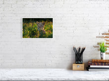 Load image into Gallery viewer, 9583481-3889768
