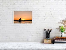 Load image into Gallery viewer, 9583473-3889756
