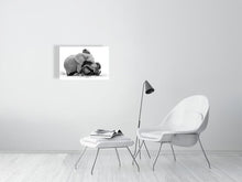 Load image into Gallery viewer, 9454114-3789983
