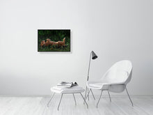 Load image into Gallery viewer, 9583488-3889790
