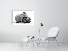 Load image into Gallery viewer, 9454114-3789984
