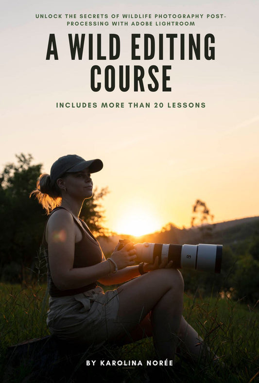 wildlife photography Lightroom editing course cover