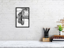 Load image into Gallery viewer, 9454113-3789979
