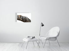 Load image into Gallery viewer, 9454108-3789947
