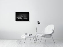 Load image into Gallery viewer, 9454112-3789974
