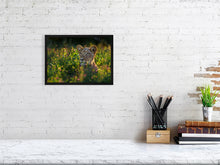 Load image into Gallery viewer, 9583481-3889771
