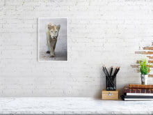 Load image into Gallery viewer, 9215749-3599650
