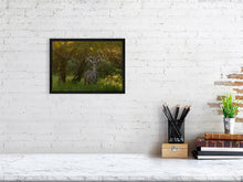 Load image into Gallery viewer, 9583484-3889777
