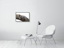 Load image into Gallery viewer, 9454108-3789950
