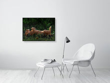 Load image into Gallery viewer, 9583488-3889791

