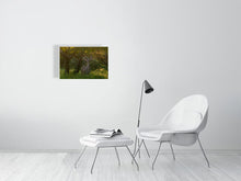 Load image into Gallery viewer, 9583484-3889775
