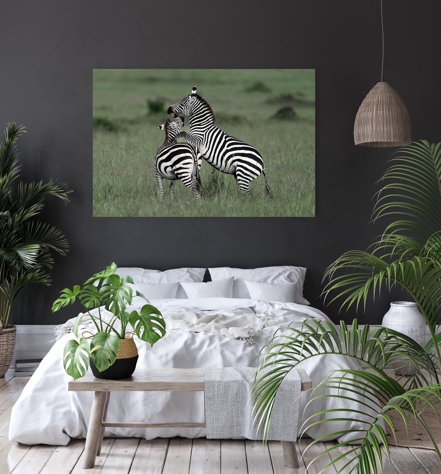 Clash of Stripes