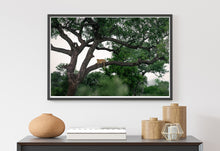 Load image into Gallery viewer, In the Trees
