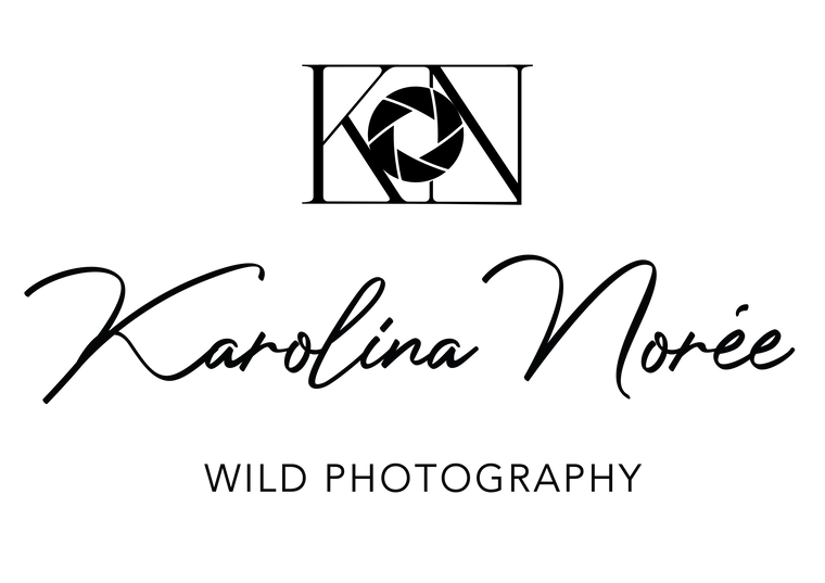 Karolina Noree Wildlife Photographer