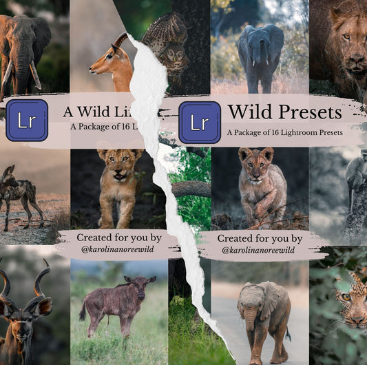 wildlife photography presets package cover