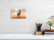 Load image into Gallery viewer, 9583490-3889792
