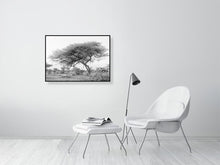 Load image into Gallery viewer, 9454115-3789993
