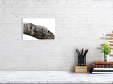 Load image into Gallery viewer, 9454108-3789946
