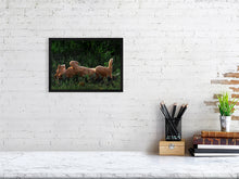 Load image into Gallery viewer, 9583488-3889789
