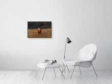 Load image into Gallery viewer, 9583492-3889802
