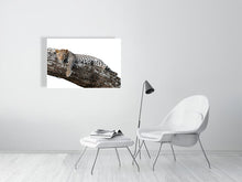 Load image into Gallery viewer, 9454108-3789948
