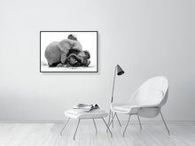 Load image into Gallery viewer, 9454114-3789987
